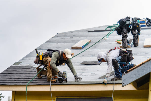 Professional Roofing technician working in Adkins, TX